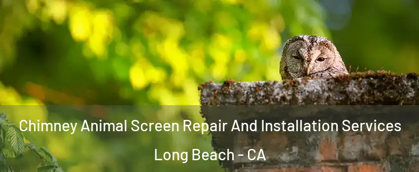  Chimney Animal Screen Repair And Installation Services Long Beach - CA